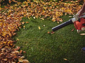 The best cordless leaf blowers 2021