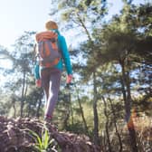 Best backpacks for day trips 2022 UK: rucksacks for hiking and outdoors, from Fjallraven, Osprey, Alpkit