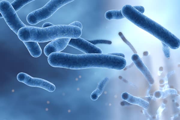 Legionella bacteria can become a health concern when they grow and spread in human-made building water systems (Photo: Shutterstock)
