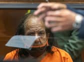 Adult film star Ron Jeremy listens as his attorney speaks during his arraignment on rape and sexual assault charges in Los Angeles in June 2020 (Photo: David McNew/Getty Images)