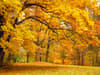 When is autumn 2021? First day of season in UK, date of the autumn equinox - and what it means
