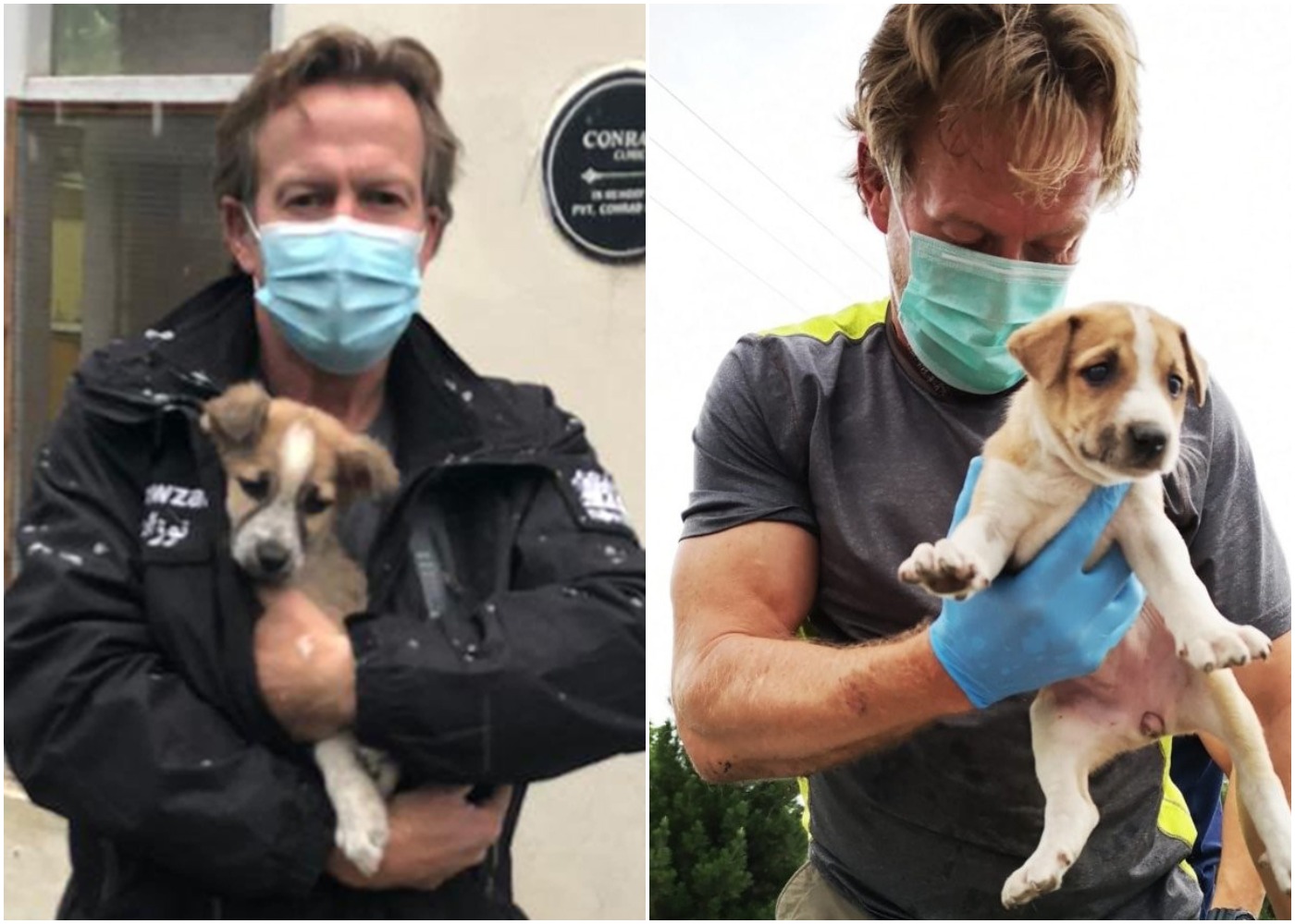 Afghanistan: Pen Farthing could not let his dogs ‘be shot by the Taliban’ and says one was stabbed to death