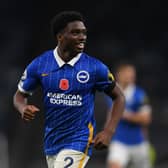 Tariq Lamptey of Brighton and Hove Albion celebrates after scoring  against Tottenham (Photo by Mike Hewitt/Getty Images)