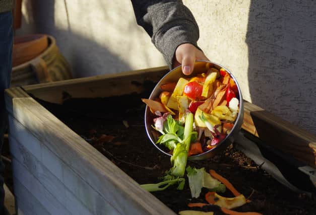 Everything you need to get started composting and how to compost 