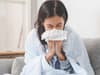 Cold or Covid? Key symptoms of a common cold, flu and coronavirus - and how to tell the differ