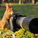 Best wildlife cameras: sharp focus cameras for capturing great photos
