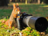 Best wildlife cameras UK 2021: sharp focus cameras for capturing great photos of birds and wildlife