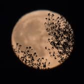 The Harvest Moon is expected to reach its peak fullness later in September 2022 (Photo: Getty Images)