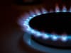 Pure Planet: how many customers does energy supplier have and is it at risk of going bust amid gas price rise?