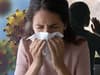 Why is the ‘worst cold ever’ going around? How colds and flu may be worse in UK after Covid lockdown