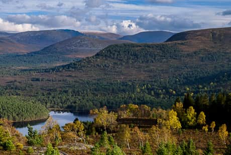 Bond was spotted in a high speed chase in the Scottish highland town of Aviemore, where mountains and lochs provide winding, enclosed roads 