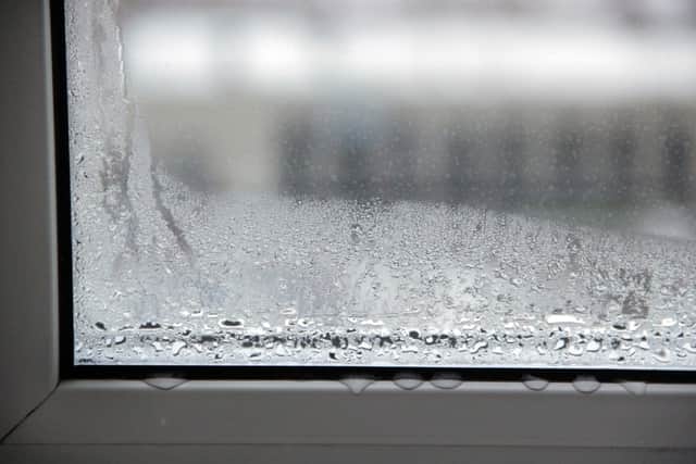 Why do my windows steam up on the inside? FIVE quick fixes for