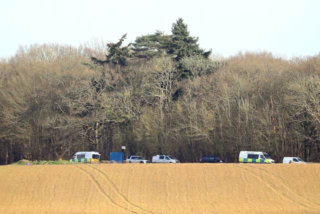Police vehicles at the scene where human remains identified as that of 33-year-old Sarah Everard, were found hidden in woodland in Ashford, Kent (image: PA)