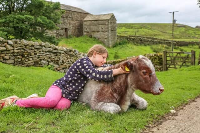 Violet, nine, tends to a cow on the Yorkshire farm (Picture: Channel 5)