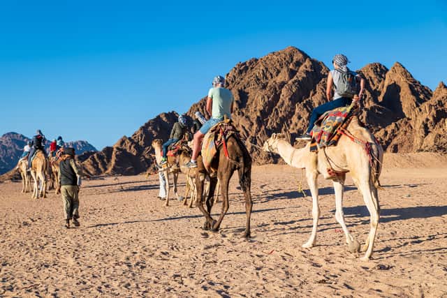 Tourists riding on a camel safari in Sharm El Sheikh. (Picture: Shutterstock)