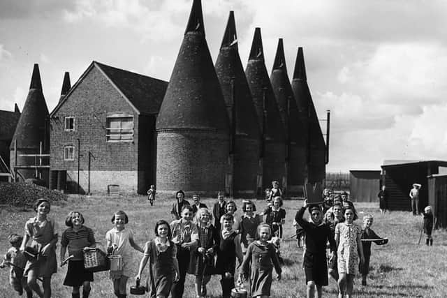 Children go hop picking in Kent in 1943, the villages would have looked much the same in the 1950s (Picture: Getty)