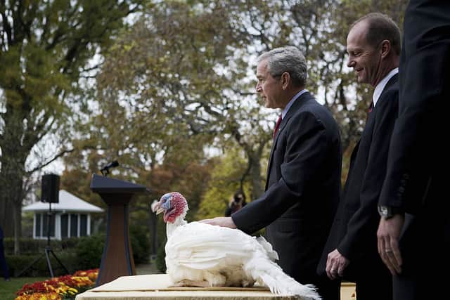 George W. Bush pets the pardoned turkey at the annual Pardoning event at the White House (Picture: Getty Images)