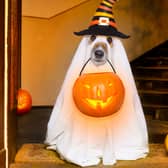 Halloween takes place every year on 31 October (Photo: Shutterstock)