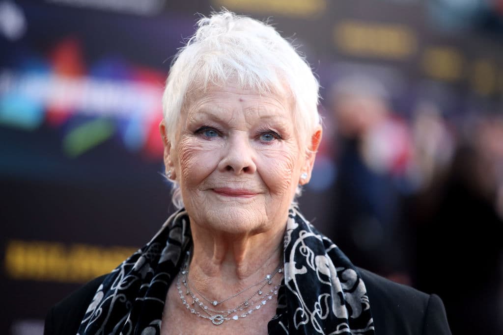 How old is Dame Judi Dench, who are her family, and what movies has she