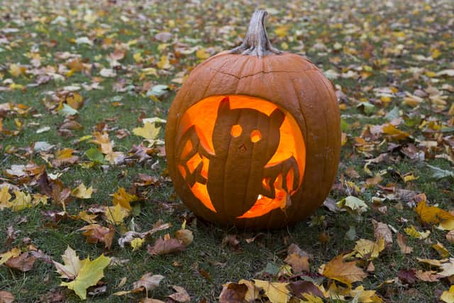 Try this quirky design this Halloween