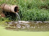 MPs voted on the discharge of raw sewage into rivers and seas (Photo: Shutterstock)