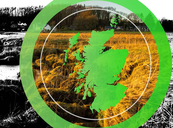The climate crisis is directly affecting species, habitats and other important environmental features in Scotland.