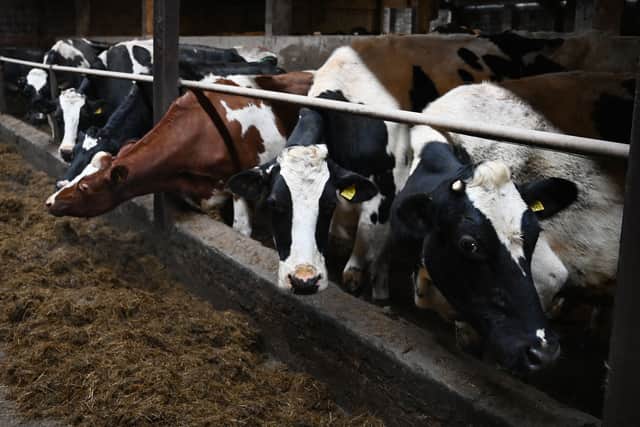 UK farmers argue they shouldn’t be lumped together with the rest of the world when it comes to greenhouse gas emissions (image: AFP/Getty Images)