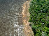 Brazil is among the nations to have signed up to halt and reverse deforestation at COP26 in Glasgow (image: AFP/Getty Images)