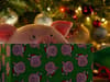 Who is the voice of Percy Pig? M&S Christmas advert for 2021 stars Tom Holland and Judy Dench