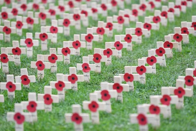 Remembrance poppies at a war memorial in Hartlepool (Photo: PAUL ELLIS/AFP via Getty Images)