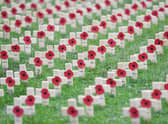 Remembrance poppies at a war memorial in Hartlepool (Photo: PAUL ELLIS/AFP via Getty Images)