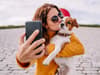 Who is planting trees for pet pictures? Instagram tree planting trend explained - and is it a hoax