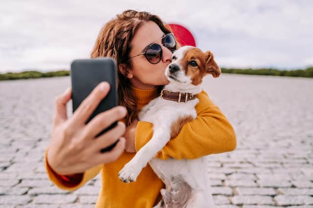 The sticker on Instagram claims that a tree will be planted for every pet picture that’s shared (Photo: Shutterstock)