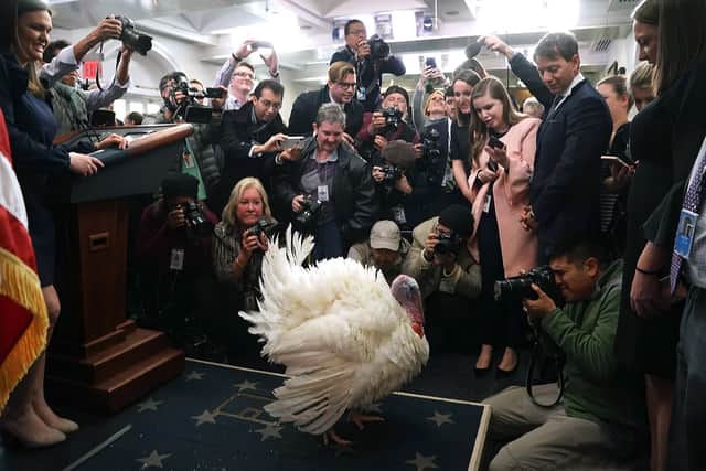 The turkey pardon has become a high-profile event during the US Thanksgiving holiday season (image: Getty Images)