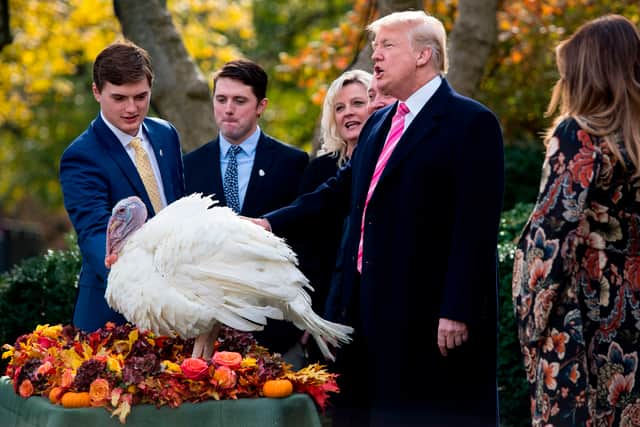 Two turkeys are chosen for the pardoning ceremony from a ‘Presidential Flock’ reared by that year’s designated farmer (image: AFP/Getty Images)