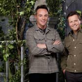 Ant and Dec return on 21 November, with 12 new celebrities ready to take on the dreaded bushtucker trials (Picture: ITV)