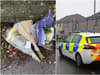  Caerphilly dog attack: 28-year-old woman arrested after 10-year-old boy killed by dog in Wales