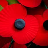 Known as Poppy day, Remembrance Day or Armistice Day, 11 November is a sombre occasion in the UK  (image: Shutterstock)