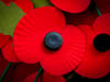 What is Armistice Day? Meaning of Remembrance Day 2021, who do we remember and poppy tradition explained