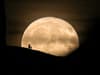 What is the Beaver Moon 2021? Meaning of November full moon, when is it and how to see it from UK