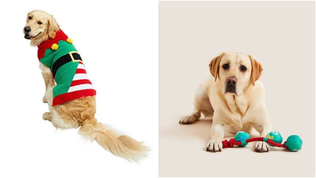 These are the top Christmas presents for dogs