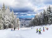 Peak ski season runs from December to April (Photo: Shutterstock)