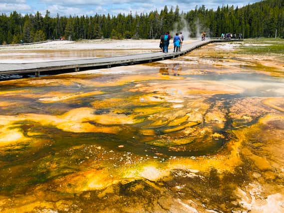 Yellowstone National Park is popular with tourists. (Credit:Getty)