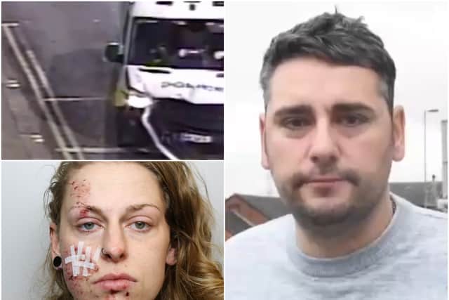 PC Stephen Wales was investigating a disturbance at a pub when Karolina Serafin, 25, mounted a curb and pinned him against his van