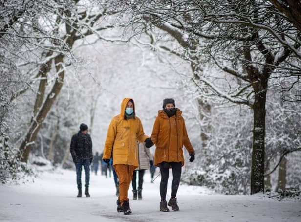 <p>A snowy scene in Hampstead Heath on 24 January 24 2021 (Photo: Justin Setterfield/Getty Images)</p>