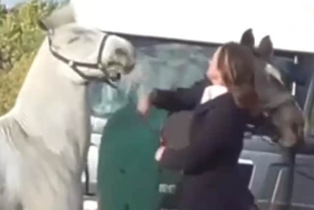 In the video, a woman dressed in riding gear appears to kick out at and repeatedly slap a horse (image: Twitter/Hertfordshire Hunt Saboteurs)