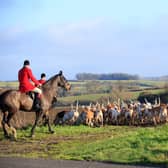 The Cottesmore Hunt said it “strongly” disapproved of the video of “one of our followers mistreating a pony” (image: Shutterstock)