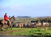 The Cottesmore Hunt said it “strongly” disapproved of the video of “one of our followers mistreating a pony” (image: Shutterstock)