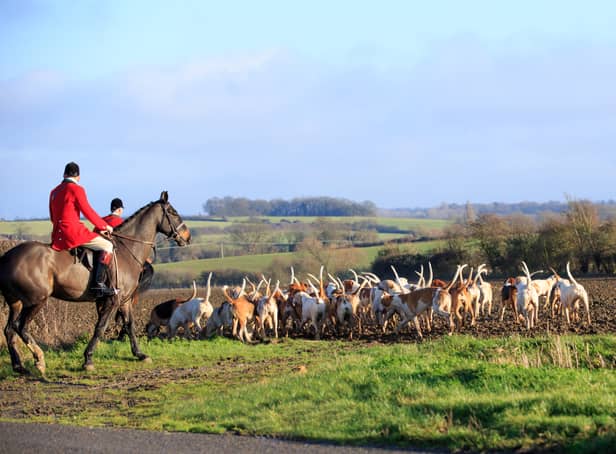 <p>The Cottesmore Hunt said it “strongly” disapproved of the video of “one of our followers mistreating a pony” (image: Shutterstock)</p>
