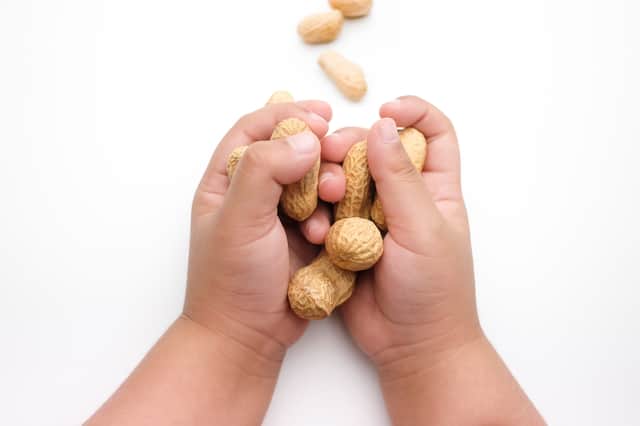 <p>Palforzia, an oral drug, appears to reduce the risk of harm when a peanut allergy sufferer comes into contact with the foodstuff (image: Shutterstock)</p>